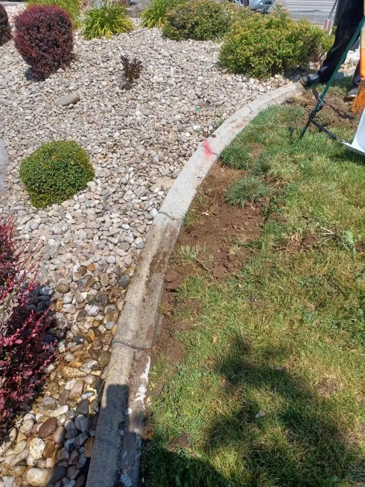 Top-rated yard cleanup service in Nampa, ID by ABA Landscaping