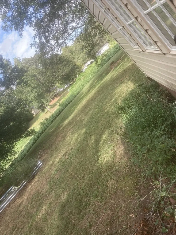 Expert yard maintenance for year-round maintenance across Greer, SC - ABA Lawn Bros