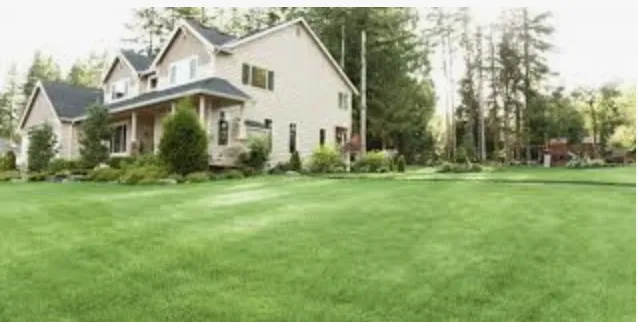 Trusted yard cleanup service near you across Greer, SC - ABA Lawn Bros