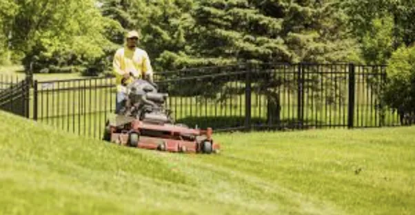 Expert yard cleanup service experts serving Greer, SC - ABA Lawn Bros