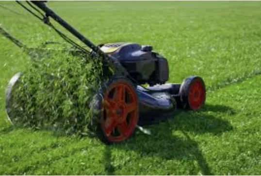 Reliable yard cleanup service in Greer, SC by ABA Lawn Bros