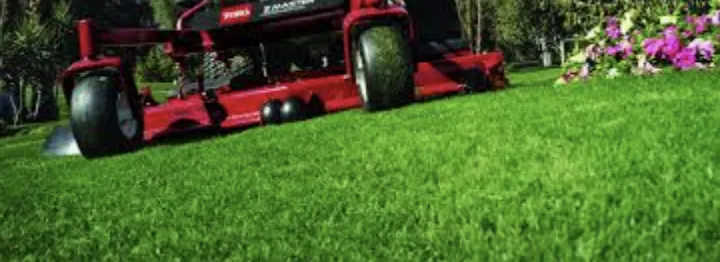 Professional landscaping services for outdoor upgrades in Greer, SC by ABA Lawn Bros