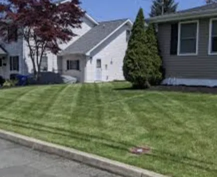 Affordable lawn mowing service in Greer, SC by ABA Lawn Bros