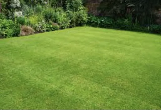 Trusted landscaping services in Greer, SC - ABA Lawn Bros