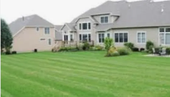 Expert landscape design for year-round maintenance across Greer, SC - ABA Lawn Bros