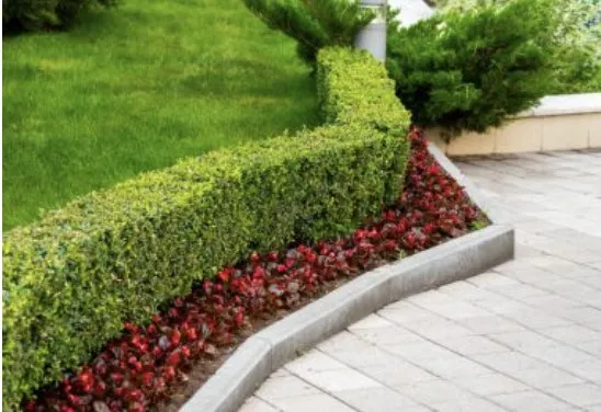Reliable landscape design in Greer, SC - ABA Lawn Bros