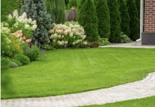 Custom landscape design near you across Greer, SC - ABA Lawn Bros