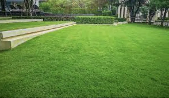 Trusted landscape installation near you in Greer, SC by ABA Lawn Bros