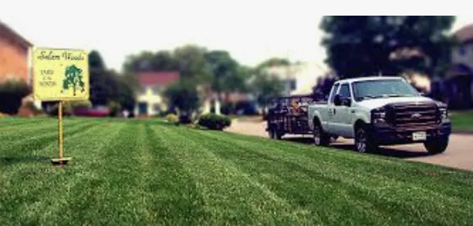 Custom lawn care service experts serving Greer, SC - ABA Lawn Bros
