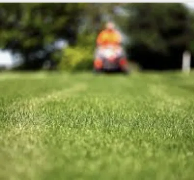 Reliable landscape installation for beautiful yards in Greer, SC by ABA Lawn Bros