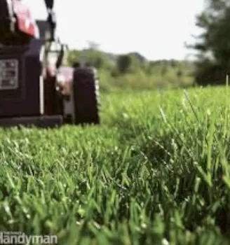 Top-rated landscaping services experts serving Greer, SC - ABA Lawn Bros