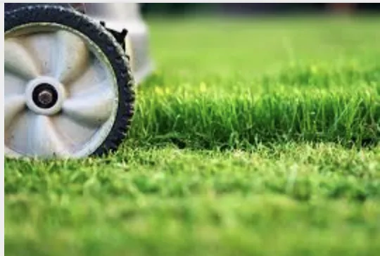 Professional garden landscaping near you across Greer, SC - ABA Lawn Bros