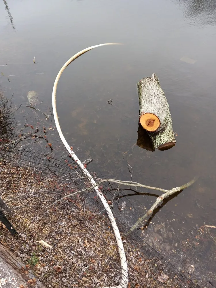 Local yard maintenance experts serving Toms River, NJ - Aba tree service