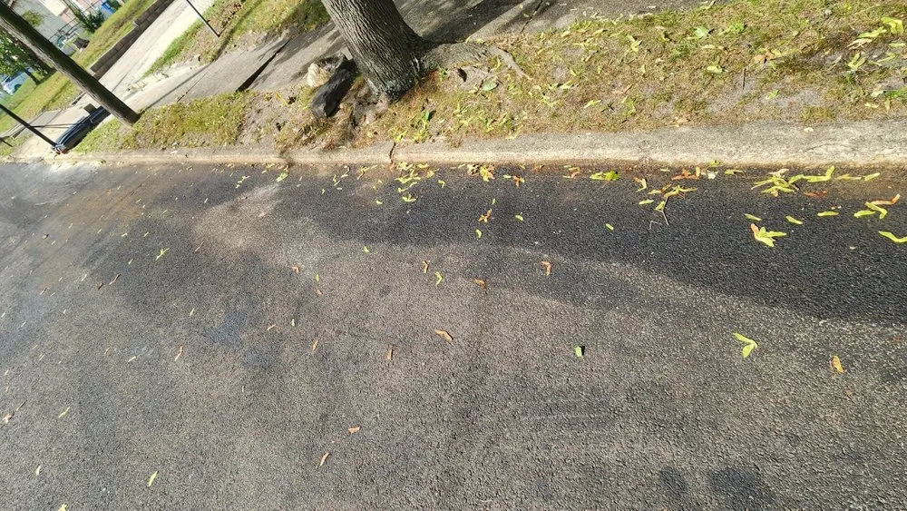 Trusted outdoor landscaping experts serving Toms River, NJ - Aba tree service