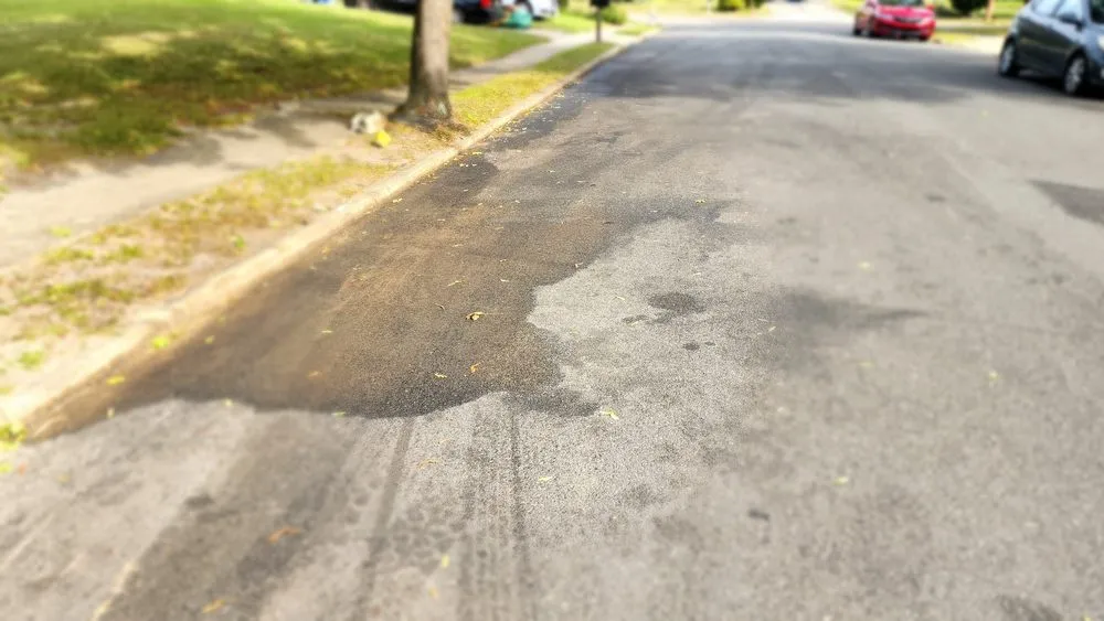 Professional landscaping services with custom design across Toms River, NJ - Aba tree service