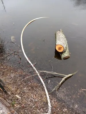 Aba tree service Logo