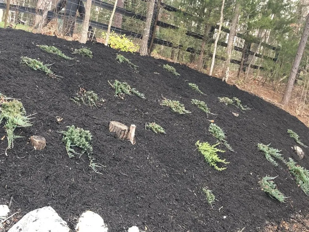 Affordable landscaping services in Stafford, VA by ABAC Landscape and Construction