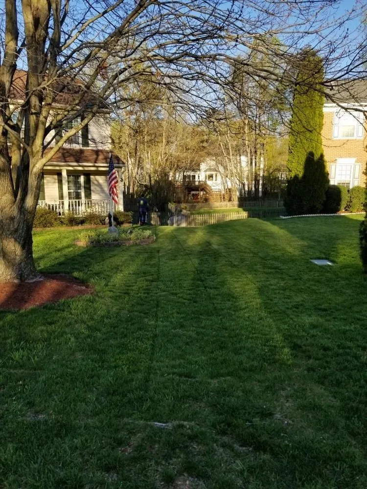 Expert residential landscaping for year-round maintenance in Stafford, VA by ABAC Landscape and Construction