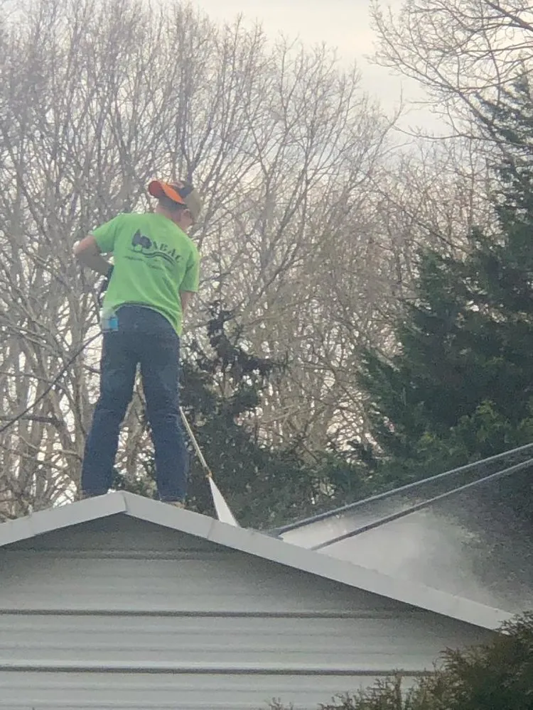 Trusted lawn care service for beautiful yards across Stafford, VA - ABAC Landscape and Construction