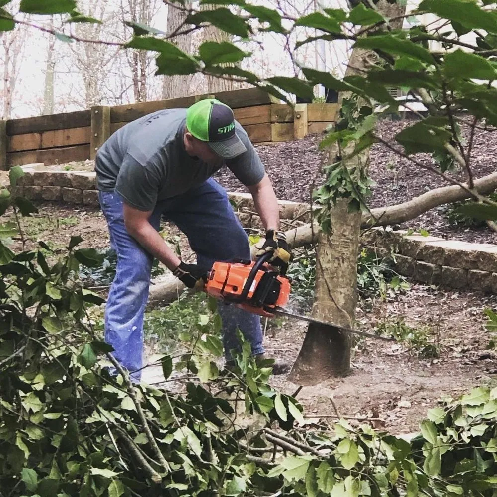 Reliable landscape design for residential properties across Stafford, VA - ABAC Landscape and Construction