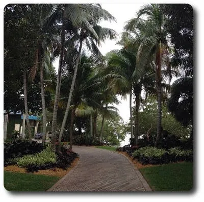 Trusted lawn mowing service in Palm Bay, FL by Abaco Lawn Care