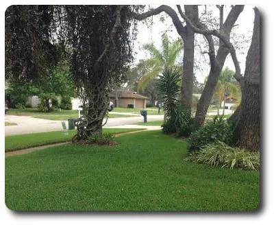 Top-rated yard cleanup service for outdoor upgrades in Palm Bay, FL by Abaco Lawn Care