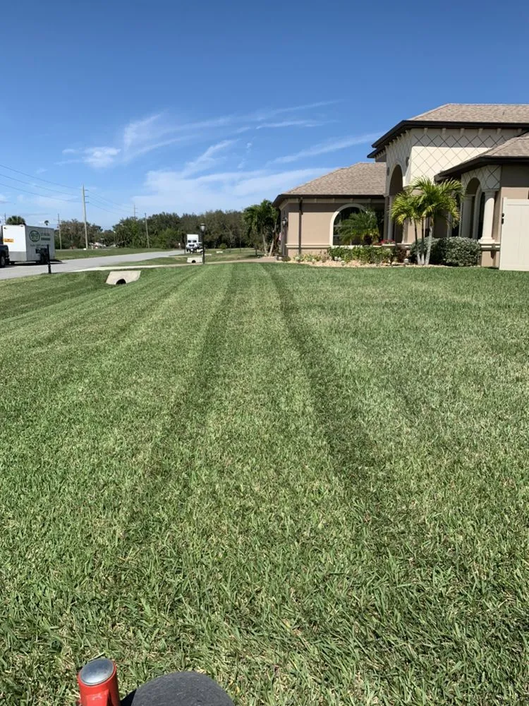 Affordable landscaping services in Palm Bay, FL - Abaco Lawn Care