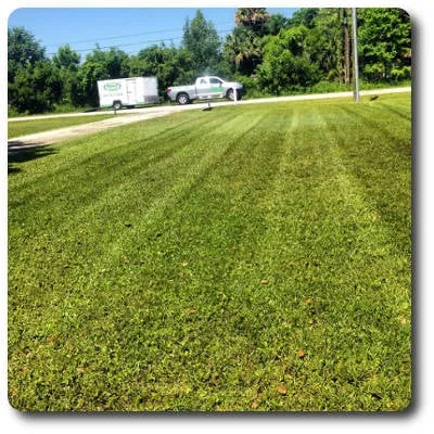 Custom landscape installation in Palm Bay, FL - Abaco Lawn Care