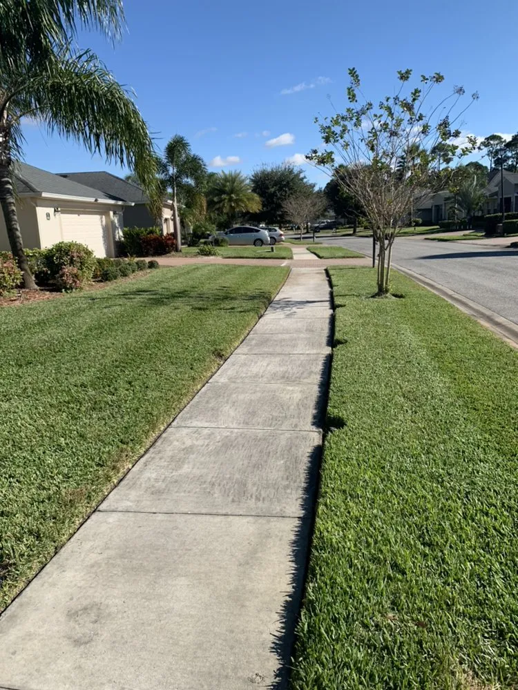 Expert yard maintenance in Palm Bay, FL - Abaco Lawn Care