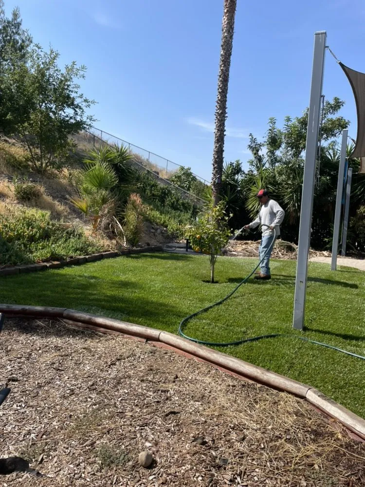 Reliable lawn care service for year-round maintenance in Poway, CA by Abad’s Landscaping