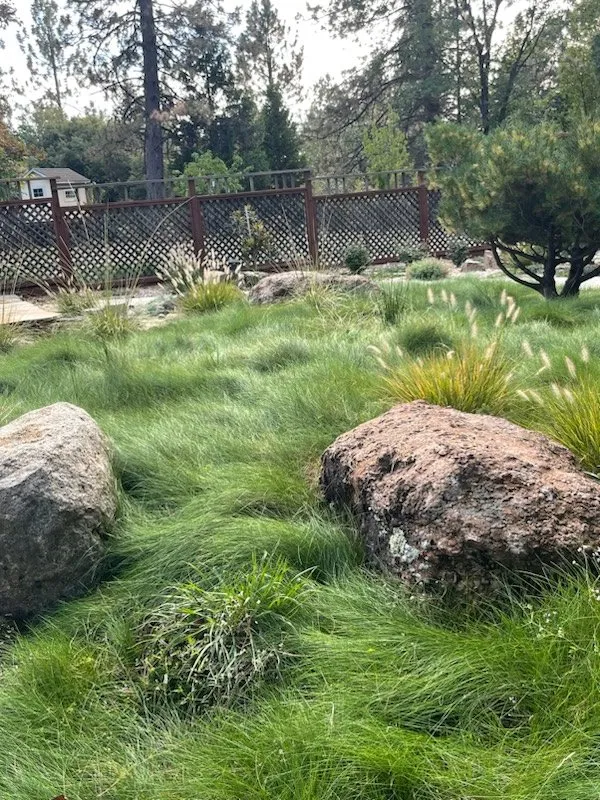 Trusted landscaping services in Nevada City, CA by Abalone Mountain Landscapes