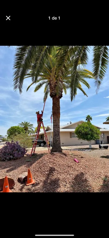 Local garden landscaping for year-round maintenance across Buckeye, AZ - Abarca landscamping