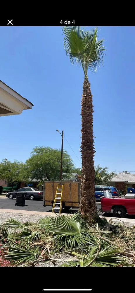 Trusted garden landscaping in Buckeye, AZ by Abarca landscamping