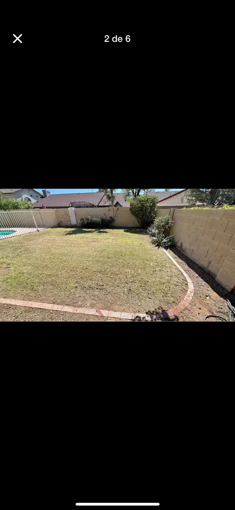 Reliable lawn care service for year-round maintenance across Buckeye, AZ - Abarca landscamping