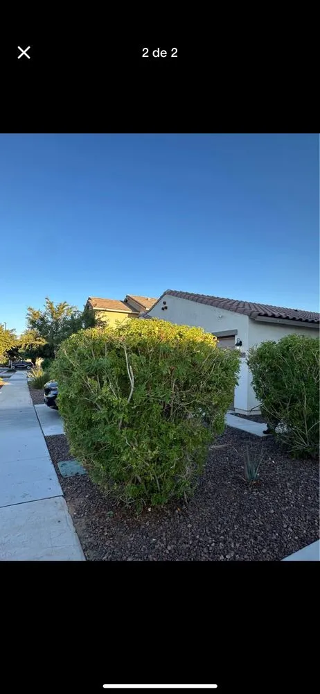 Local garden landscaping in Buckeye, AZ - Abarca landscamping