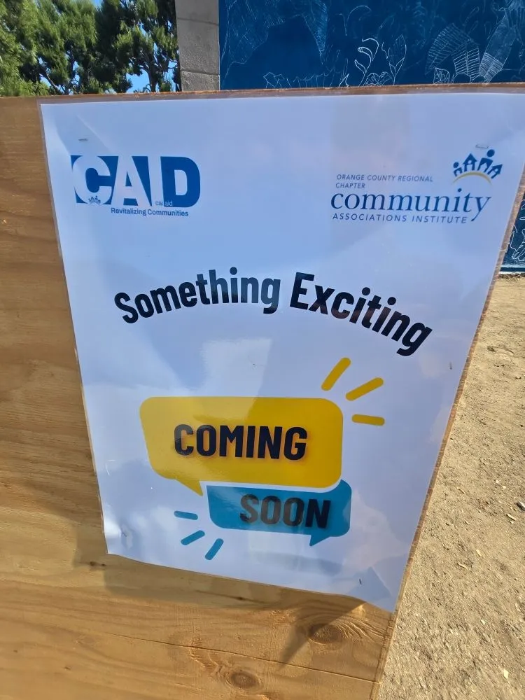 Affordable yard cleanup service for homes in Hemet, CA by Abarca Landscape