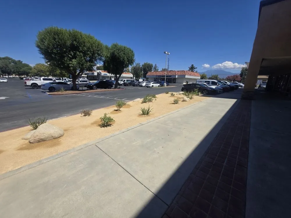 Trusted lawn care service in Hemet, CA by Abarca Landscape