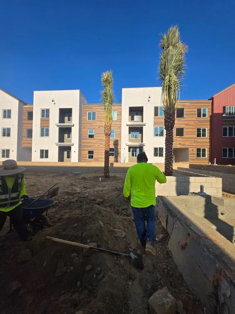 Expert residential landscaping in Hemet, CA - Abarca Landscape