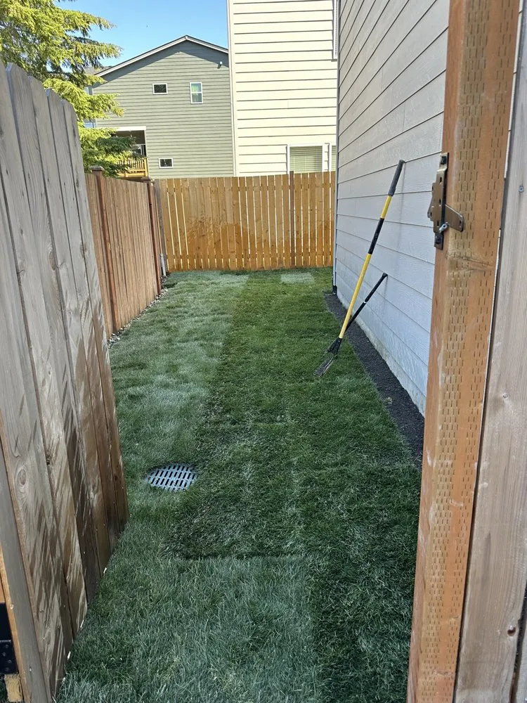 Custom outdoor landscaping with custom design across Seattle, WA - Abarca