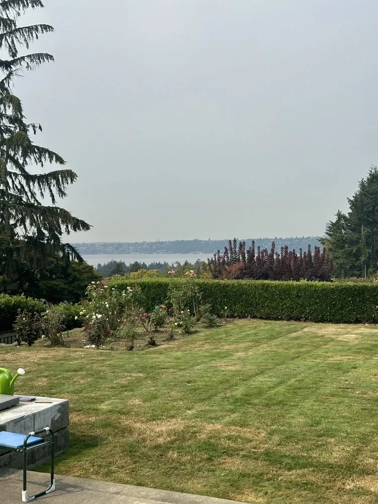 Expert lawn mowing service experts serving Seattle, WA - Abarca