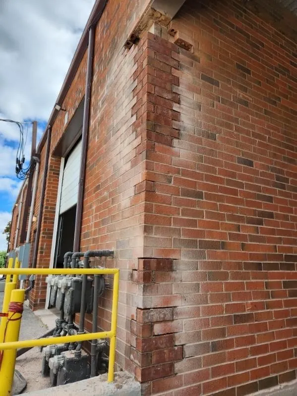 Custom lawn care service in Prospect Heights, IL - Abarca's Masonry & Landscaping Bros