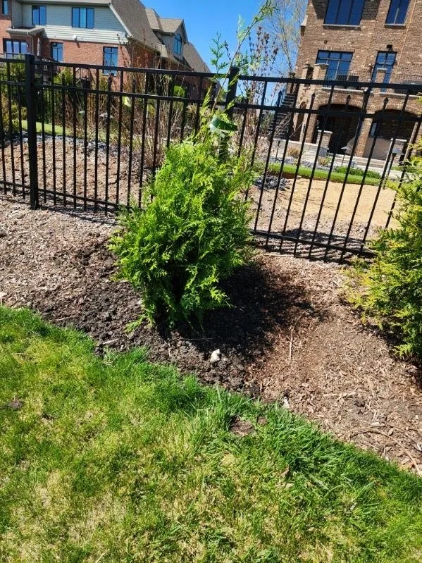 Affordable lawn mowing service in Prospect Heights, IL - Abarca's Masonry & Landscaping Bros