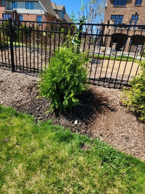 Trusted yard cleanup service in Prospect Heights, IL by Abarca's Masonry & Landscaping Bros