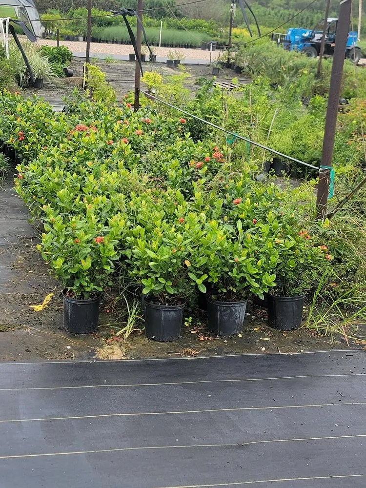 Expert landscape installation for homes across Santa Fe, TX - ABASK Services