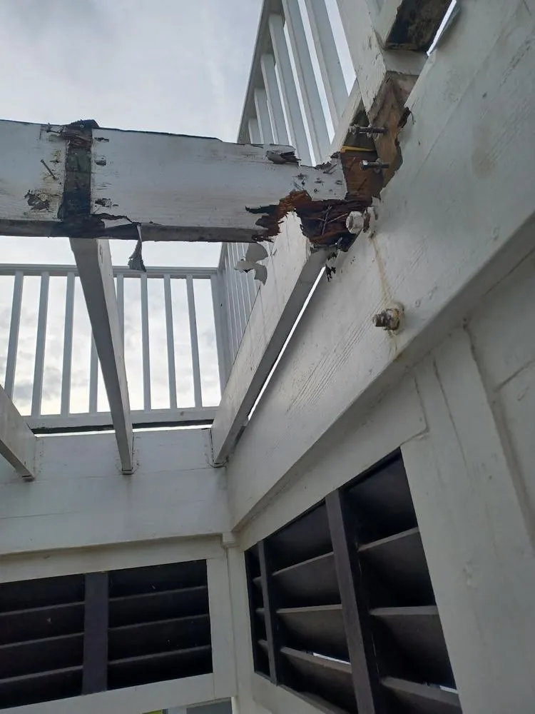 Top-rated landscape design for beautiful yards across Santa Fe, TX - ABASK Services