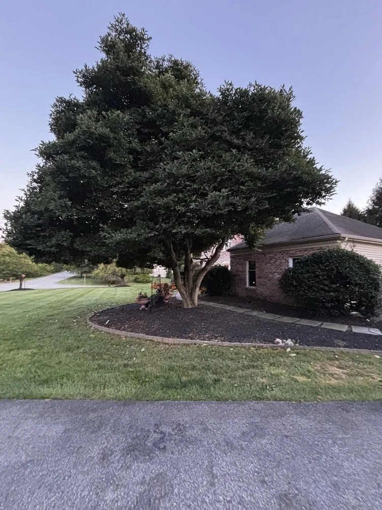 Local lawn mowing service for residential properties across Coatesville, PA - ABB Tree Services