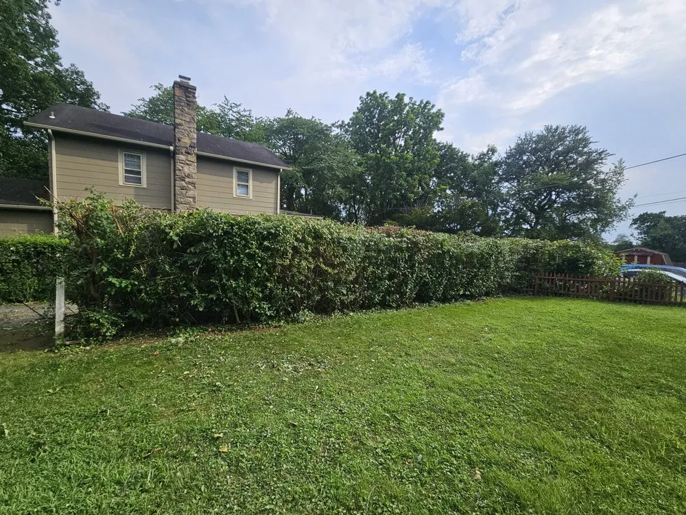 Trusted outdoor landscaping experts serving Coatesville, PA - ABB Tree Services