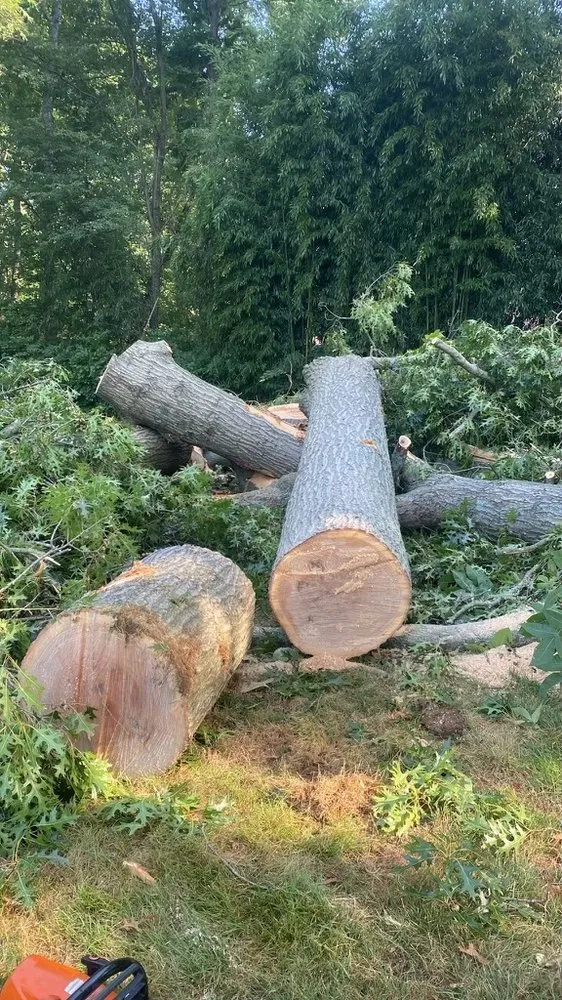 Trusted landscaping services experts serving Coatesville, PA - ABB Tree Services