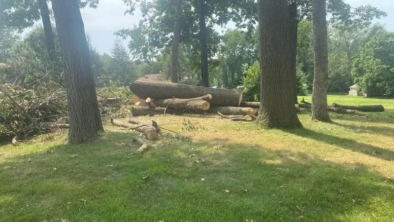 Reliable landscape installation for residential properties across Coatesville, PA - ABB Tree Services