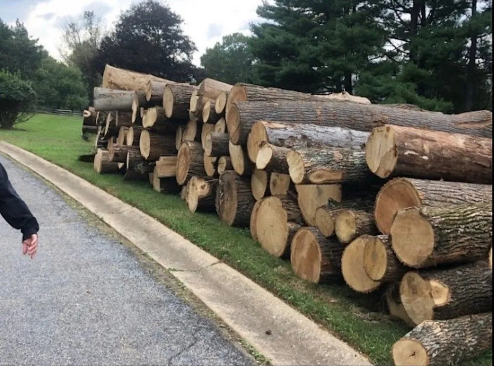 Affordable lawn care service for year-round maintenance across Coatesville, PA - ABB Tree Services